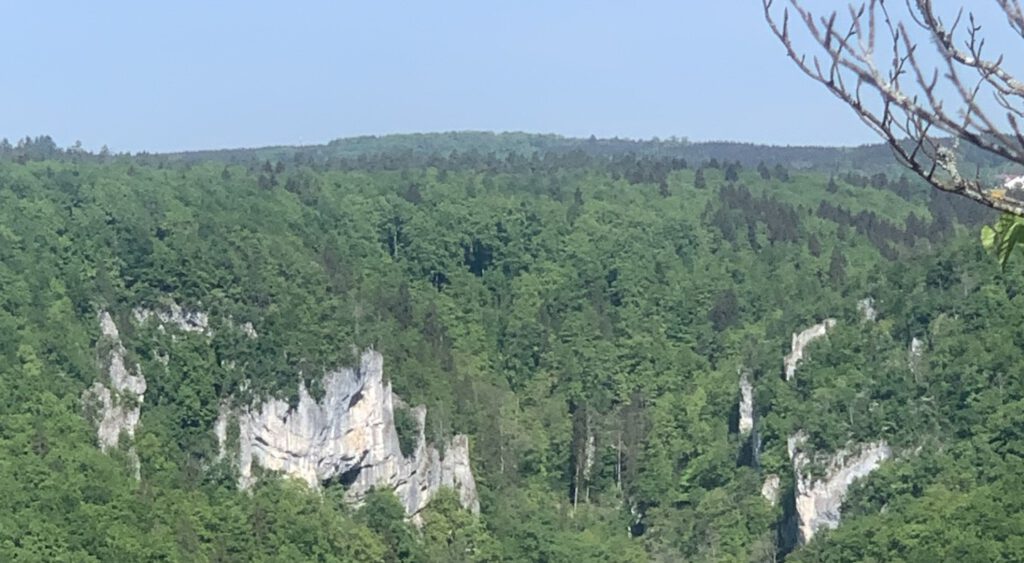 In der Wildnis des Oberen Donautals entstehen die Gedanken über Politik und Wirtschaft in Beuron und Berlin