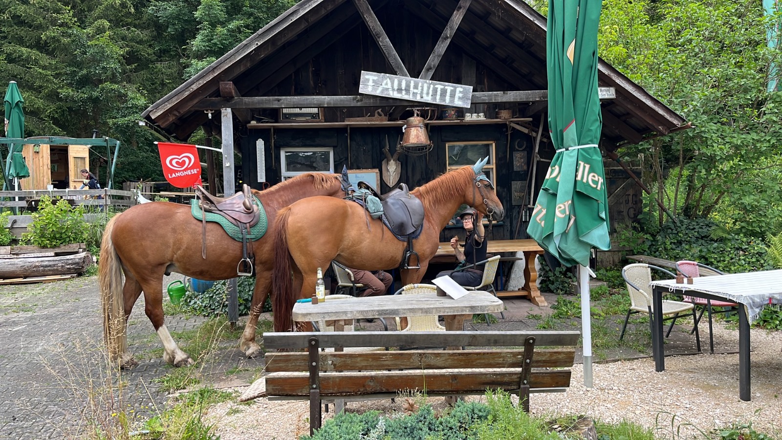 Das Bild von der Neidinger Fallhütte
